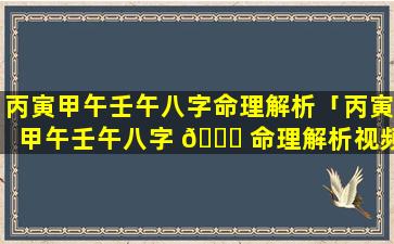 丙寅甲午壬午八字命理解析「丙寅甲午壬午八字 🐛 命理解析视频」